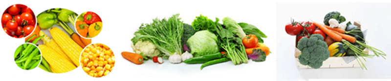 Vegetable and Fruit Production Line4